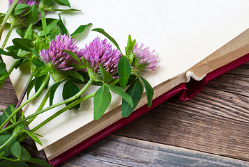 Image showing clover flowers and old album