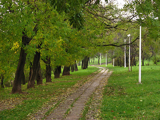 Image showing Green forest path