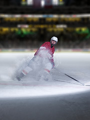 Image showing ice hockey player in action