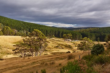 Image showing Valley in Tasmania