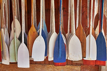 Image showing Paddles In Storage