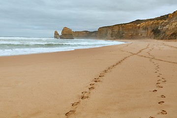 Image showing Sandy Ocean Beach
