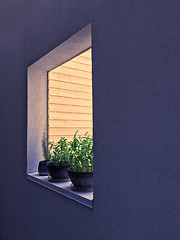 Image showing Window decorated with potted herbs