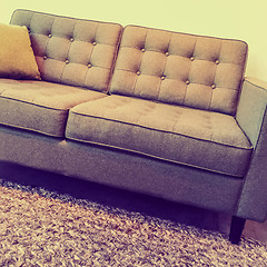 Image showing Retro style elegant and comfortable sofa