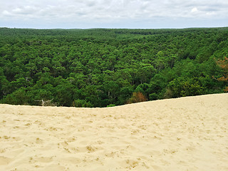 Image showing View over the forest from the Dune of Pilat in France