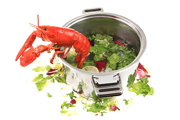 Image showing orange lobster isolated