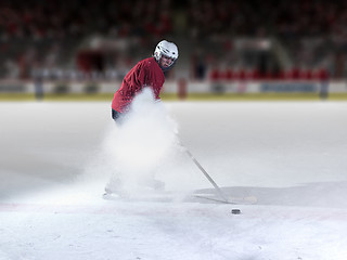 Image showing ice hockey player in action