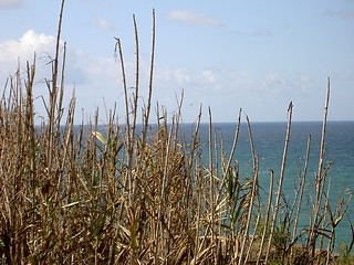 Image showing seasight