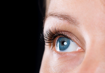 Image showing Face woman with eyes and eyelashes