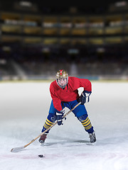 Image showing ice hockey player in action