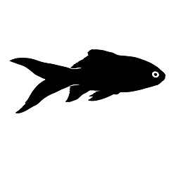 Image showing Black silhouette of aquarium fish on white background