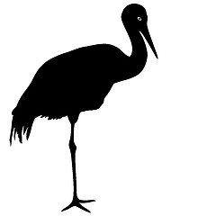 Image showing Silhouette bird crane on a white background