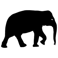 Image showing Silhouette large African elephant on a white background