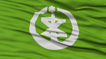 Image showing Closeup of Niigata Flag, Capital of Japan Prefecture