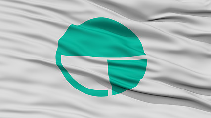 Image showing Closeup of Nagano Flag, Capital of Japan Prefecture