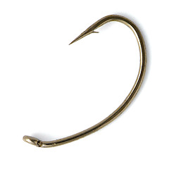 Image showing golden fishhook