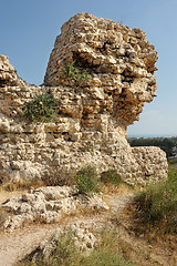 Image showing Park of Ashkelon in Israel