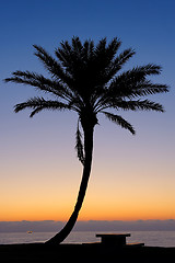 Image showing Park of Ashkelon in Israel