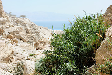 Image showing Dead Sea Mountains