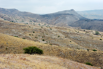 Image showing Slopes of the Golan Heights