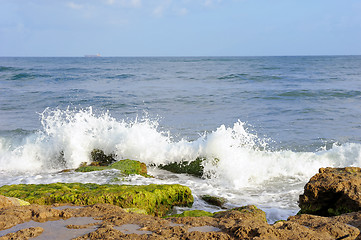 Image showing Mediterranean Coast of Israel