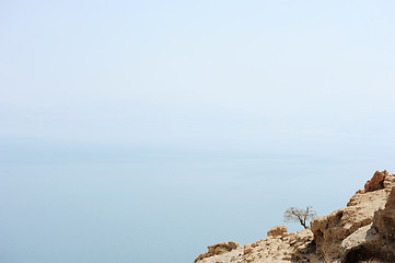 Image showing The coast of the Dead Sea 