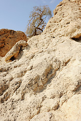 Image showing Dead Sea Mountains