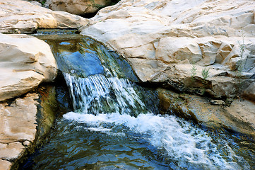 Image showing Stream in Ein Gedi