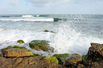 Image showing Mediterranean Coast Israel