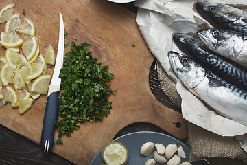 Image showing Fish food preparation