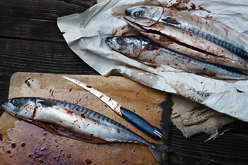 Image showing Raw fish on a table