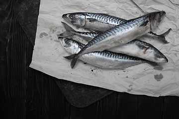 Image showing Scomber fish in wrapping paper