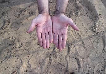 Image showing  worker hands palms