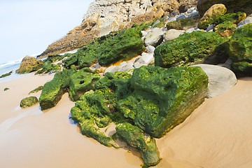 Image showing Green stones on the seashore