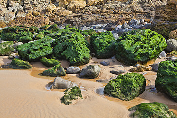 Image showing Green stones on the seashore