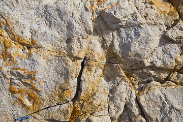 Image showing colorful texture of sea stone