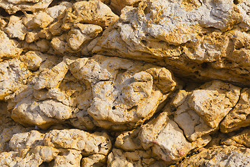 Image showing colorful texture of sea stone