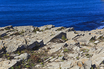 Image showing Rocky Coast Extending into the Sea