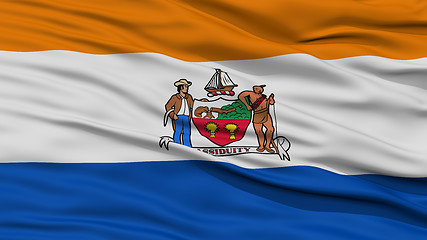 Image showing Closeup Albany Flag