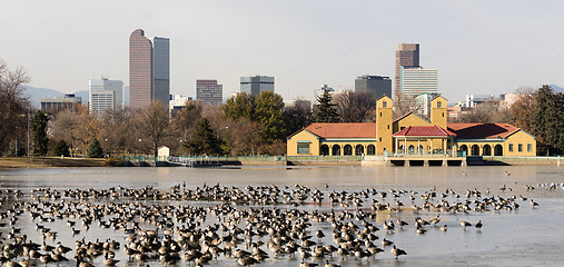 Image showing Cirt Park Lake Ferril Frozen Water Migrating Geese