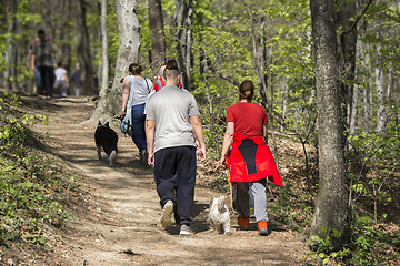 Image showing Group of hikers in a walk in nature