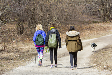 Image showing Group of young girls hikers in a walk in nature