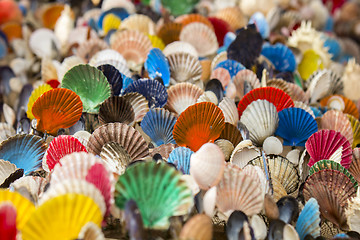 Image showing Many of Colorful seashell as background, selective focus
