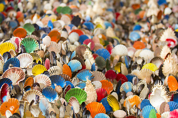 Image showing Many of Colorful seashell as background, selective focus