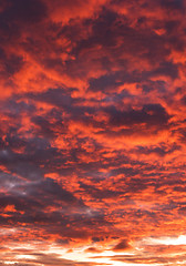 Image showing Sky with red and gray clouds