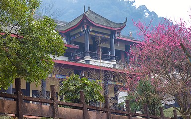 Image showing Buddhist temple angle shot in China