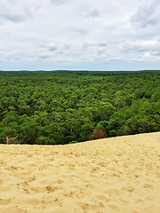 Image showing Sky, trees and sand