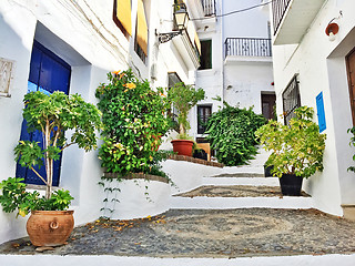 Image showing Picturesque street decorated with plants, in Andalusia