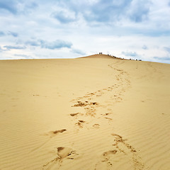 Image showing Footsteps leading to the top of Dune du Pilat, France