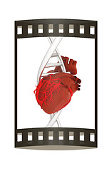 Image showing DNA and heart. 3d illustration. The film strip